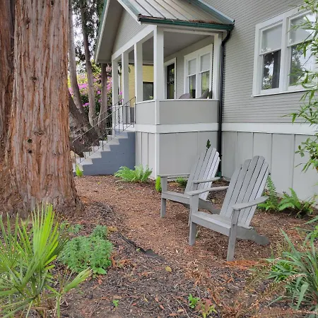 Villa Modern Craftsman Garden Patio In Georgetown